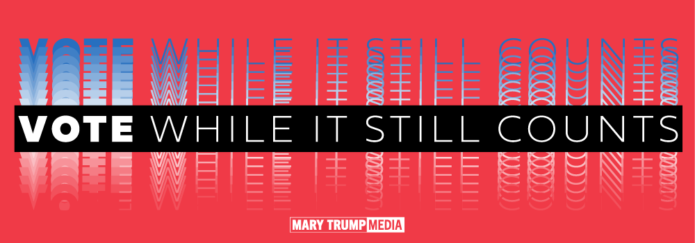 "VOTE While It Still Matters" sticker